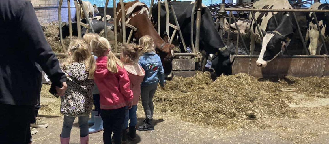 schoolklas op boerderij weelderen | Sanne van Raalte